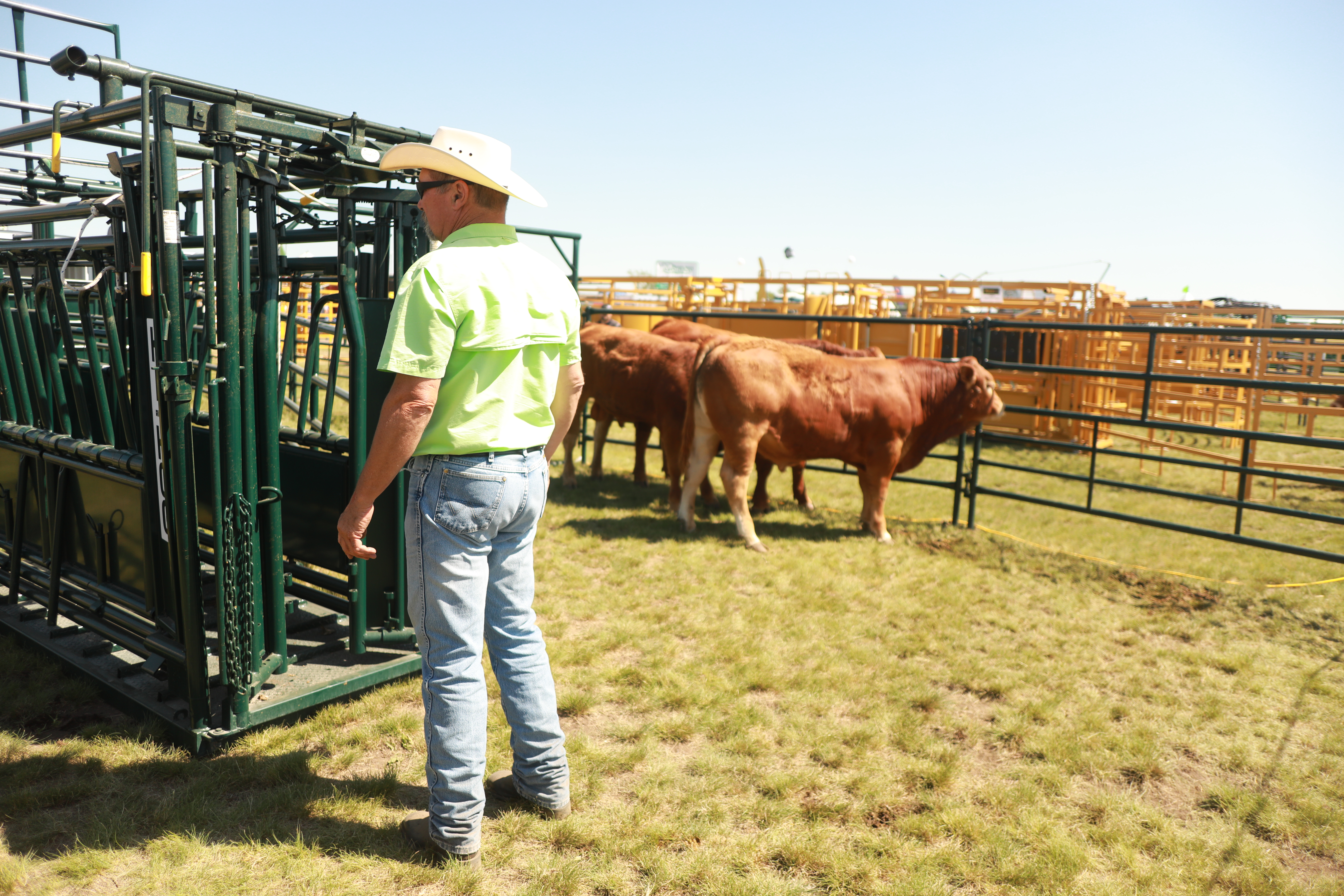 See the Latest Technology in Livestock Equipment Demonstrated Live